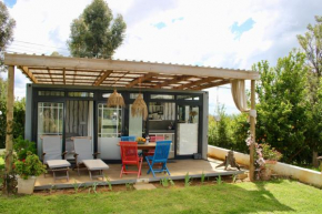 The tiny home